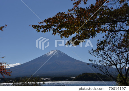 Fuji and autumn leaves 70814197