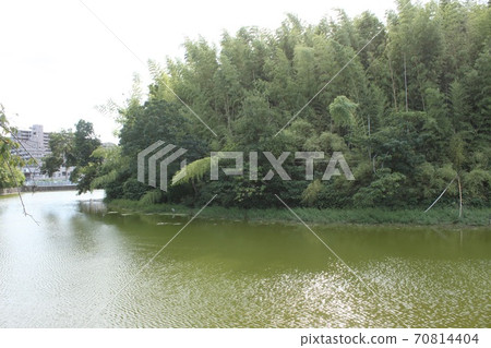 kai市世界遺產板助墳 70814404