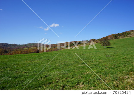 Autumn at Hayasaka Ranch Autumn at Hayasaka Ranch 70815434