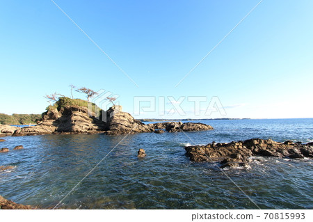 三浦半島荒崎/鹽井之道本天島 70815993