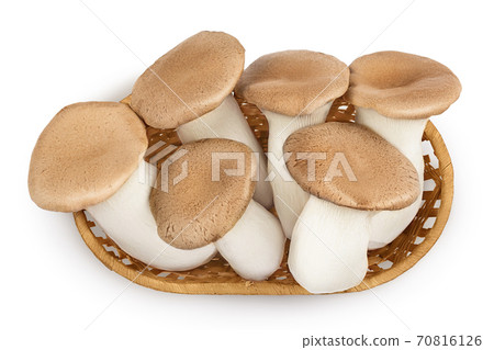King Oyster mushroom or Eringi in wicker basket isolated on white background with clipping path. Top view. Flat lay King Oyster mushroom or Eringi in wicker basket isolated on white background with clipping path. Top view. Flat lay 70816126