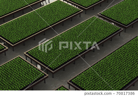 raised plant in garden bed raised plant in garden bed 70817386