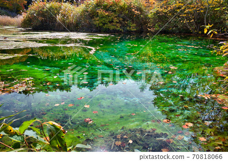青森縣八甲田市，龍津沼，秋天的葉子在田代平沼 70818066