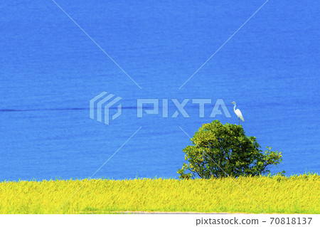 Kyoto Tango Peninsula Rural scenery 70818137