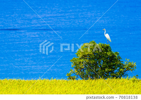 Kyoto Tango Peninsula Rural scenery Kyoto Tango Peninsula Rural scenery 70818138