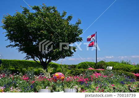 Harbor View Park-Yokohama 70818739