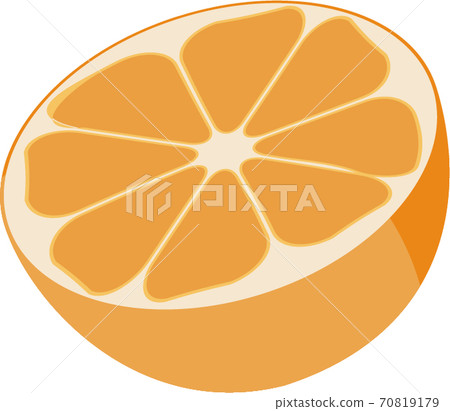 Orange icon illustration 70819179