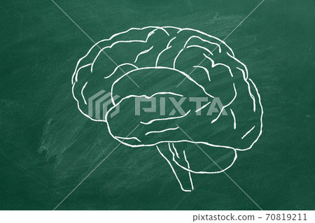 Human brain Human brain 70819211