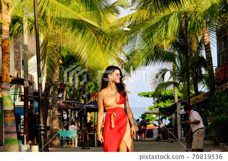 palm, beach, resort 70819536