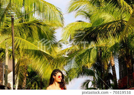 palm, beach, tree 70819538