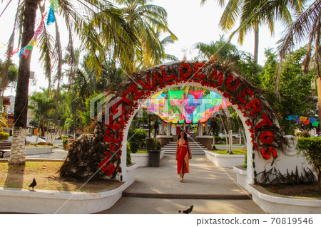 palm, tree, resort 70819546