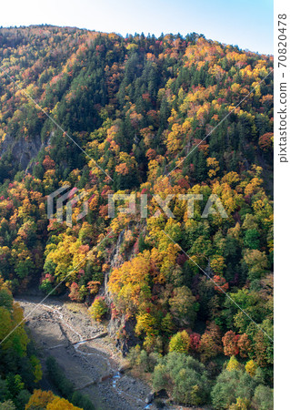 Autumn scenery in Hokkaido: Autumn leaves in Sounkyo Autumn scenery in Hokkaido: Autumn leaves in Sounkyo 70820478