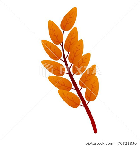 Ash tree autumn leaf icon, cartoon style Ash tree autumn leaf icon, cartoon style 70821830