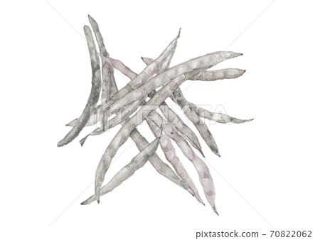 Cowpea with scabbard Vegetable material Monotone white background transparent png [ink painting style] 70822062