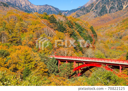 東澤大橋八岳的秋葉 70822125