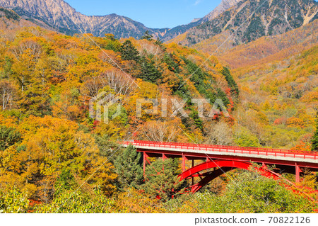 Autumn leaves of Higashizawa Ohashi Yatsugatake Autumn leaves of Higashizawa Ohashi Yatsugatake 70822126