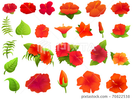 Hibiscus icons set, cartoon style 70822538