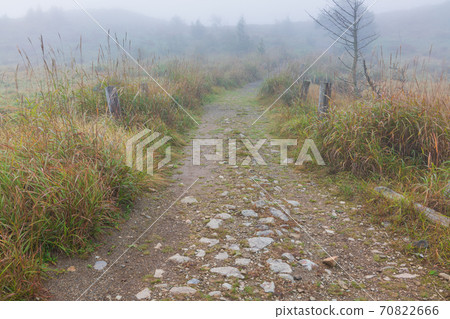 Mt. Hachibuse surrounded by morning mist [Mt. Mae Hachibuse] 70822666
