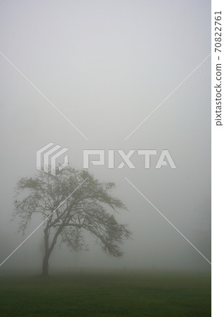 大霧天什麼都看不到的草地 70822761