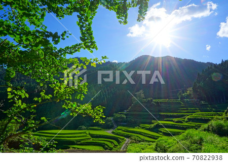 K原的水稻梯田 K原的水稻梯田 70822938
