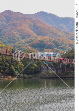 坡州搖擺橋 坡州搖擺橋 70823103