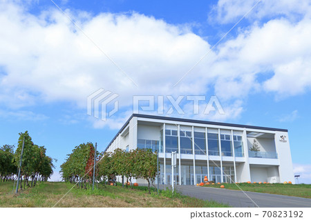 秋碗酒莊和葡萄園 秋碗酒莊和葡萄園 70823192