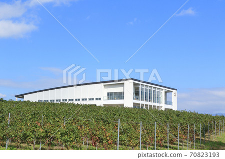 Autumn bowl winery and vineyard 70823193