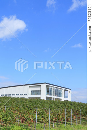 秋碗酒莊和葡萄園 70823194