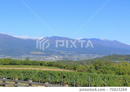 Autumn bowl vineyard Autumn bowl vineyard 70823269