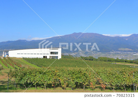 秋碗酒莊和葡萄園 70823315
