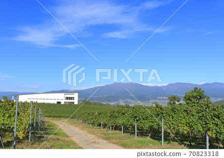 Autumn bowl winery and vineyard 70823318