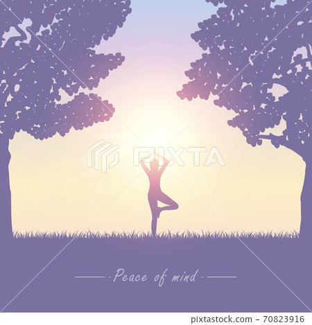 yoga girl on summer meadow at sunshine yoga girl on summer meadow at sunshine 70823916