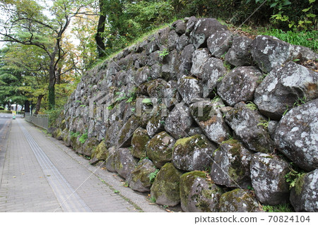 仙台市青葉區仙台市博物館附近的石垣 70824104
