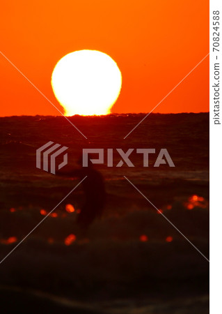 Dharma sunset and surfers Dharma sunset and surfers 70824588