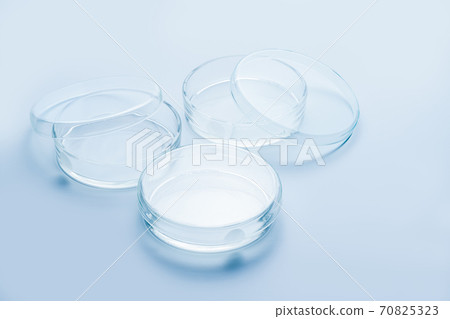Transparent glass Petri dishes on blue background, Biology laboratory glassware 70825323
