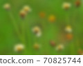 Blurred of flowers background in nature. 70825744