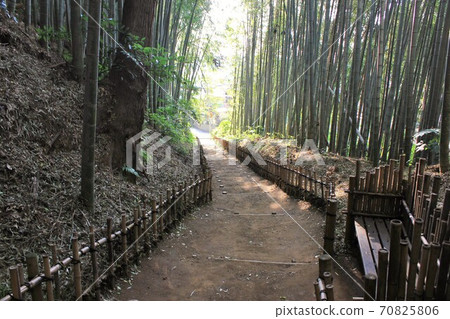 竹林小徑-Hiyodori-zaka- 竹林小徑-Hiyodori-zaka- 70825806