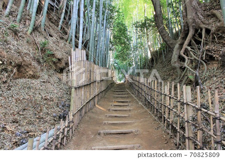 竹林小徑-Hiyodori-zaka- 竹林小徑-Hiyodori-zaka- 70825809