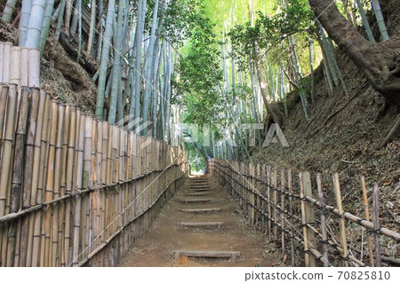 竹林小徑-Hiyodori-zaka- 竹林小徑-Hiyodori-zaka- 70825810