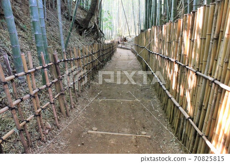 竹林小徑-Hiyodori-zaka- 竹林小徑-Hiyodori-zaka- 70825815