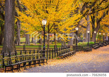 Central Park at The Mall in New York City Central Park at The Mall in New York City 70826056
