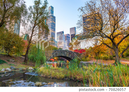 Central Park during autumn in New York City Central Park during autumn in New York City 70826057