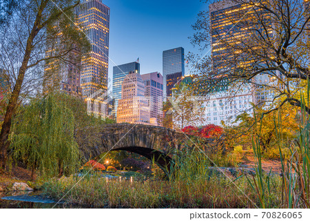Central Park during autumn in New York City Central Park during autumn in New York City 70826065