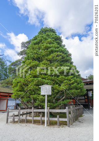 Shimogamo神社 70826201