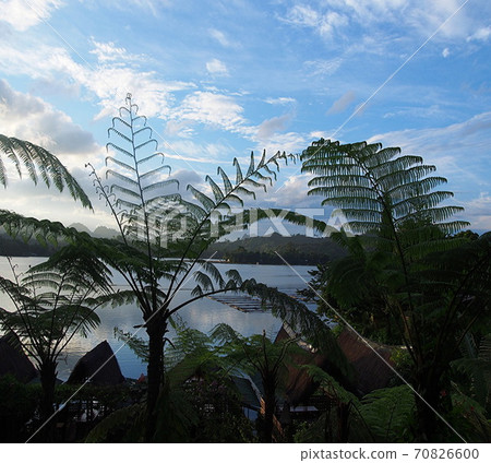 菲律賓棉蘭老島度假村的桑托斯將軍城的自然風光 70826600