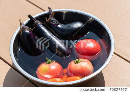 Harvested summer vegetables chilled in a bowl filled with water (July) Home garden 70827557