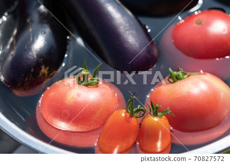 Harvested summer vegetables chilled in a bowl filled with water (July) Home garden 70827572