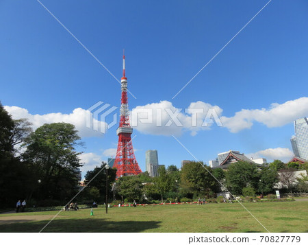 Tokyo Tower seen from Shiba Park Tokyo Tower seen from Shiba Park 70827779