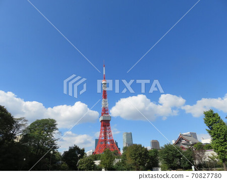 Tokyo Tower seen from Shiba Park Tokyo Tower seen from Shiba Park 70827780