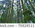 Kamishikimi Kumanoza Shrine Aso 70828511